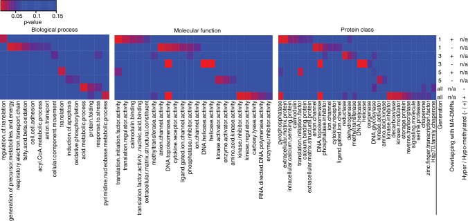 Figure 2—figure supplement 5.