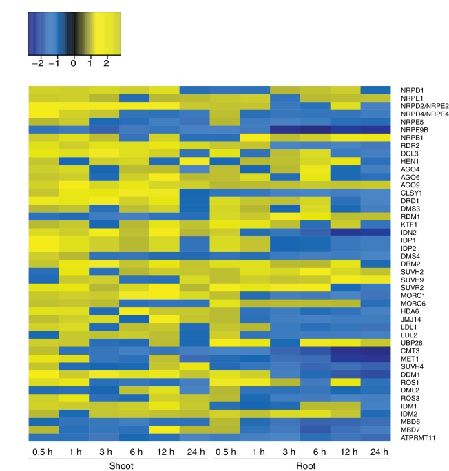 Figure 5—figure supplement 3.