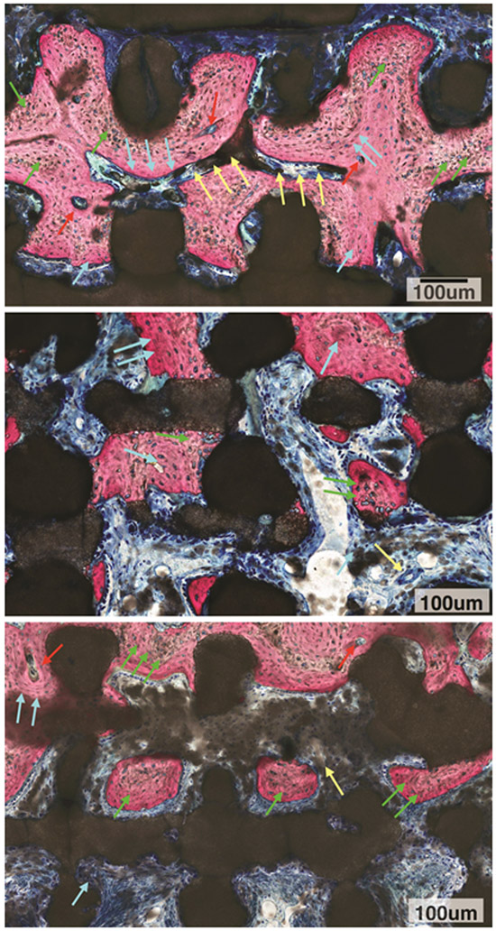 Figure 5A: