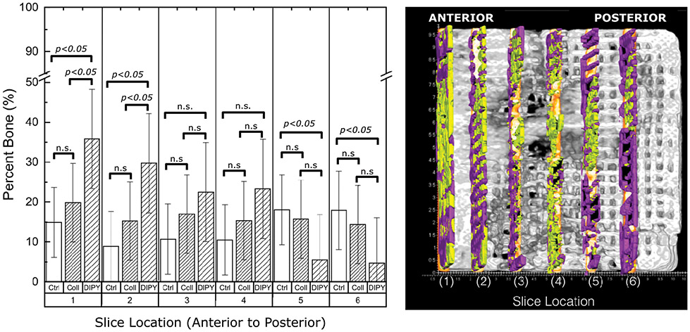 Figure 7: