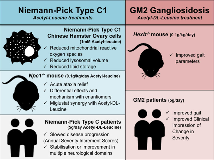 Graphical Abstract