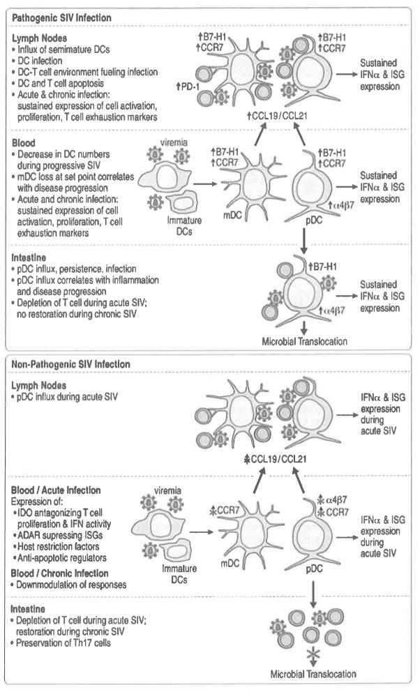 Fig. 6.3