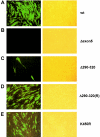 FIG. 8.