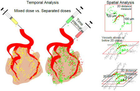 graphic file with name nihms-763586-f0001.jpg