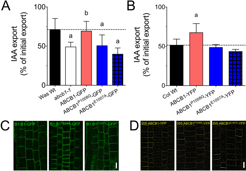 Figure 6.