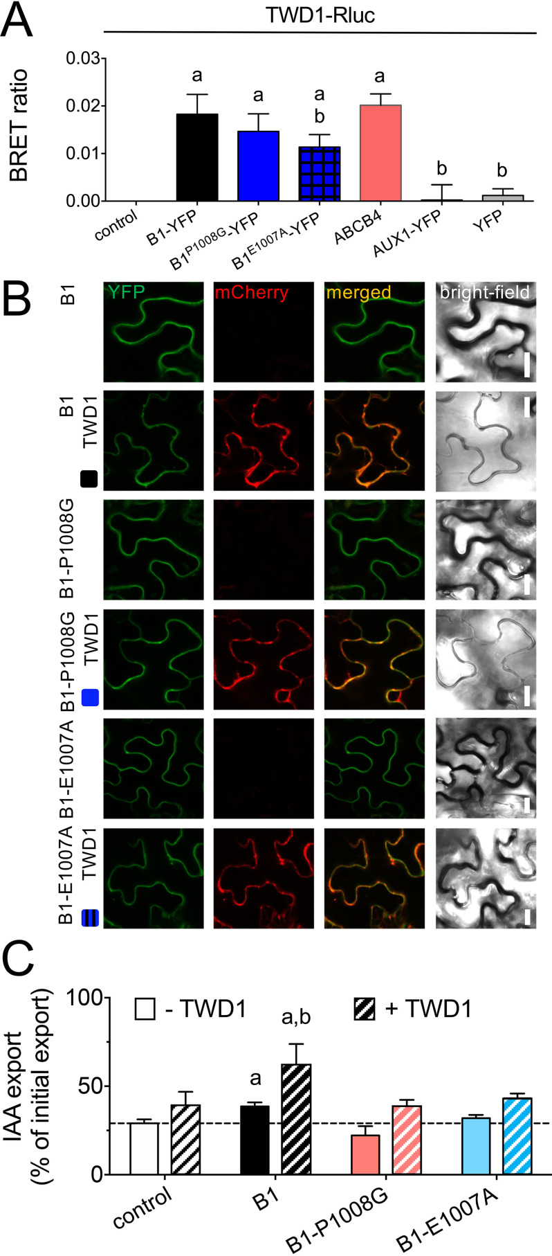 Figure 5.