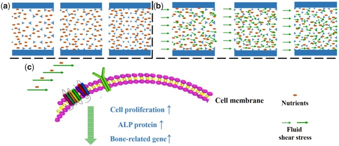 Figure 10.