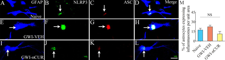 Figure 11.