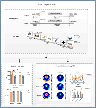 graphic file with name CNS-30-e14395-g007.jpg