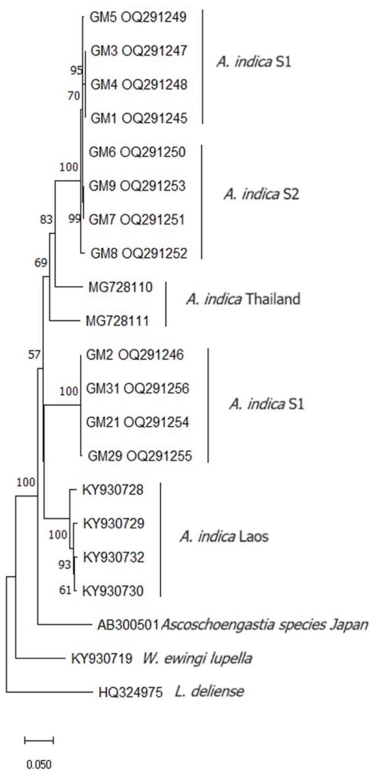 Fig. 7