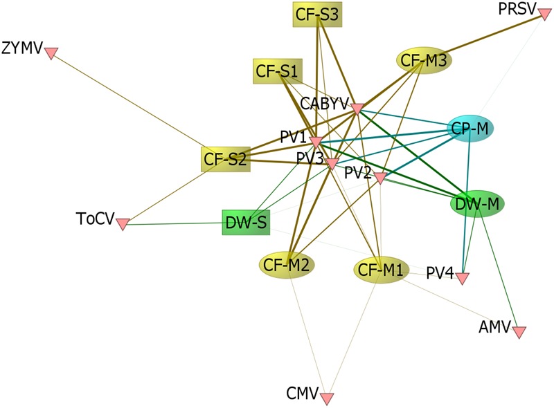 FIGURE 6