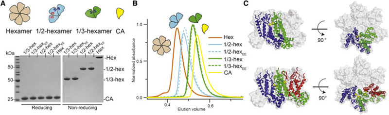 Figure 2.