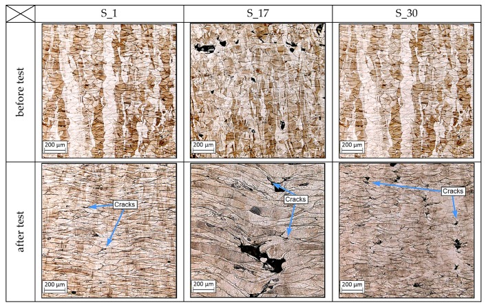 Figure 19