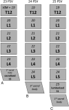 Fig 1.