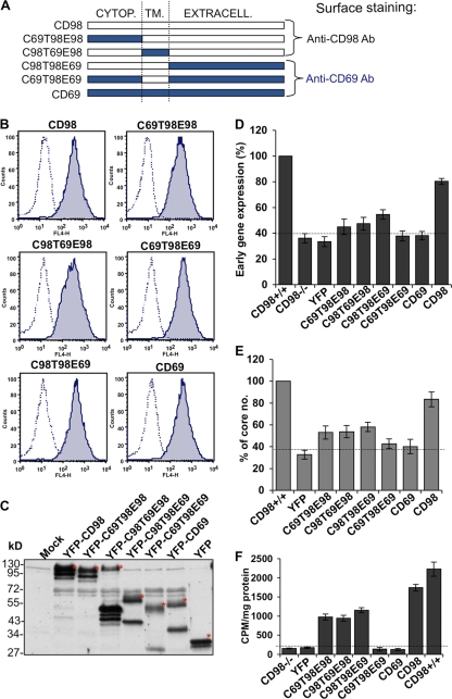 Fig 10