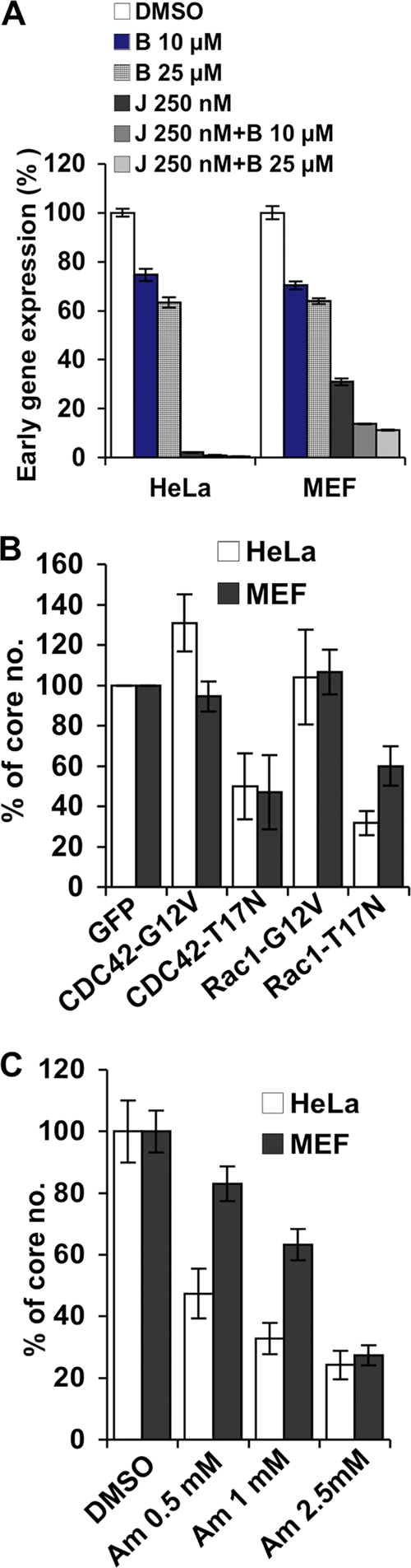 Fig 5