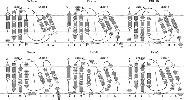 Fig. 4