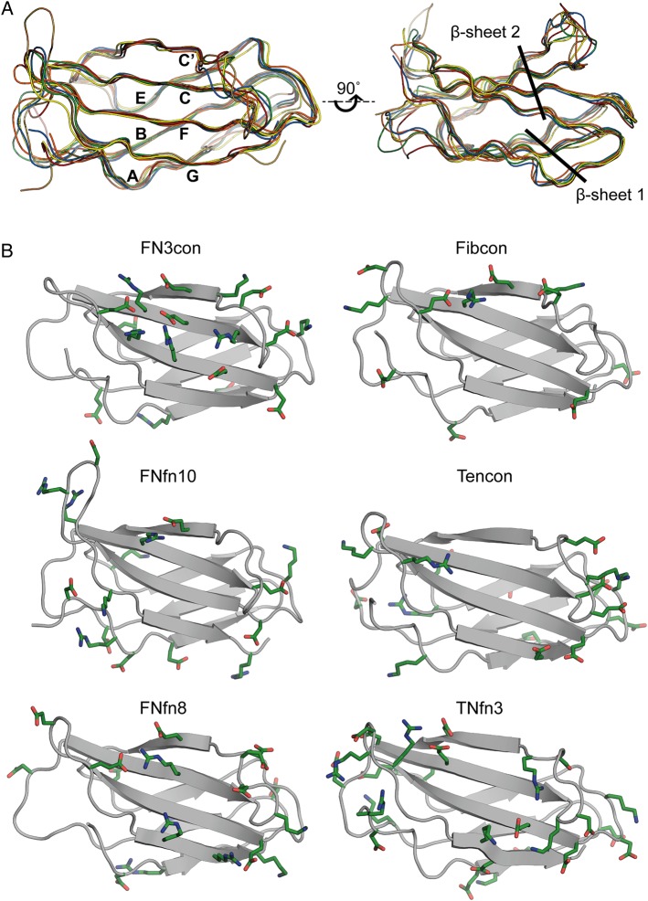 Fig. 2