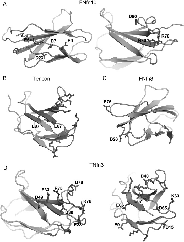 Fig. 3