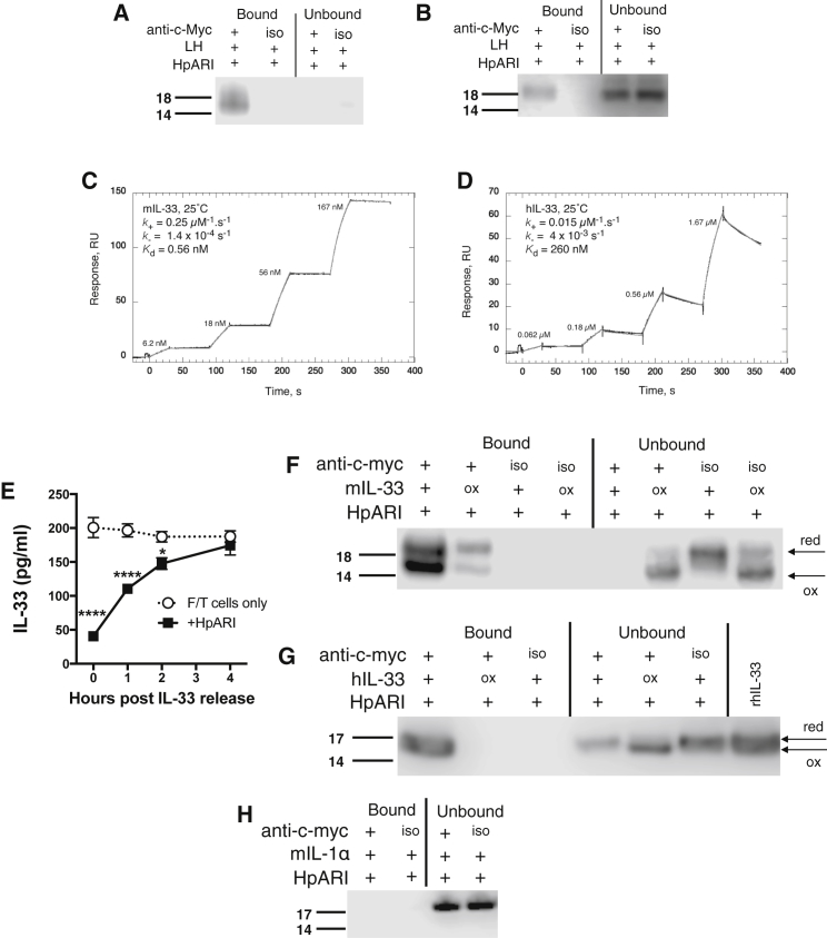 Figure 5