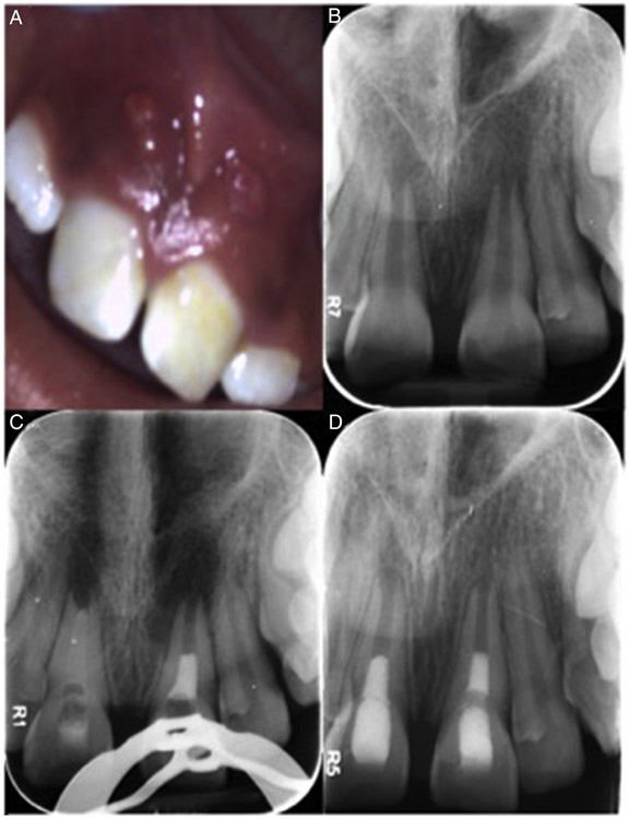 Figure 2.