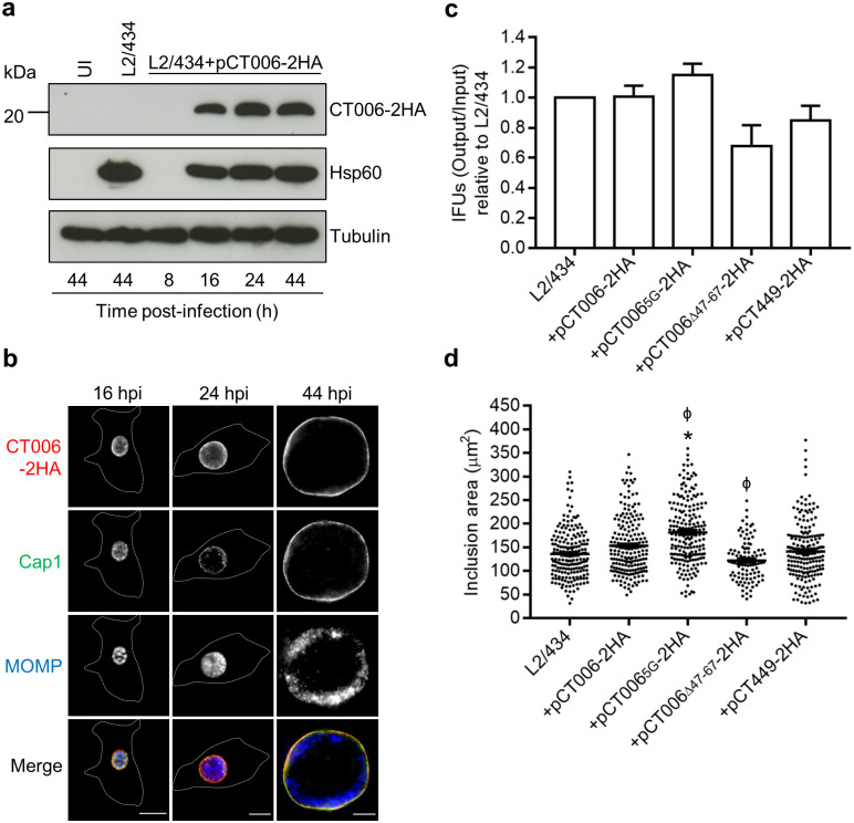 Fig 6