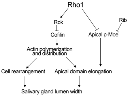 Fig. 9.