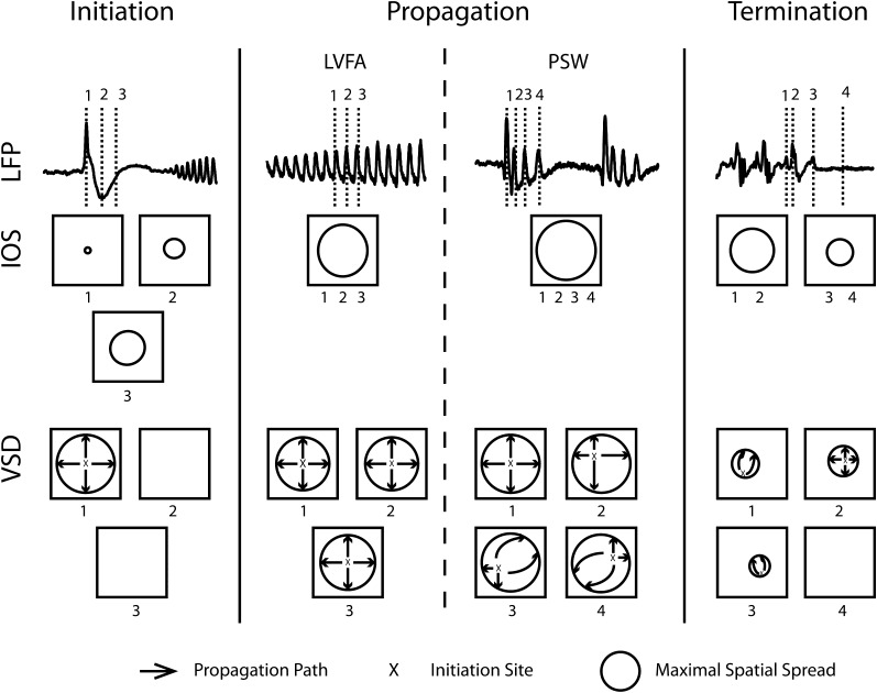 Figure 10.