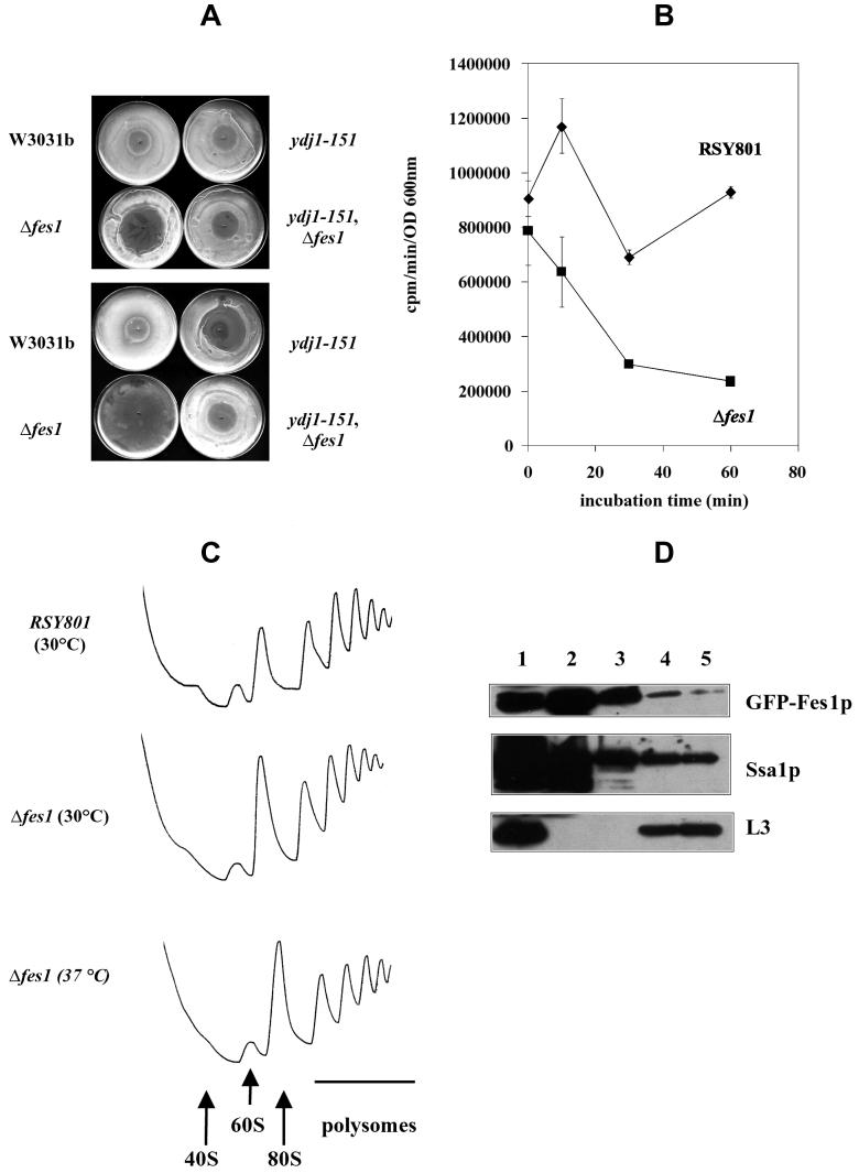 FIG. 8.