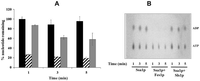 FIG. 5.