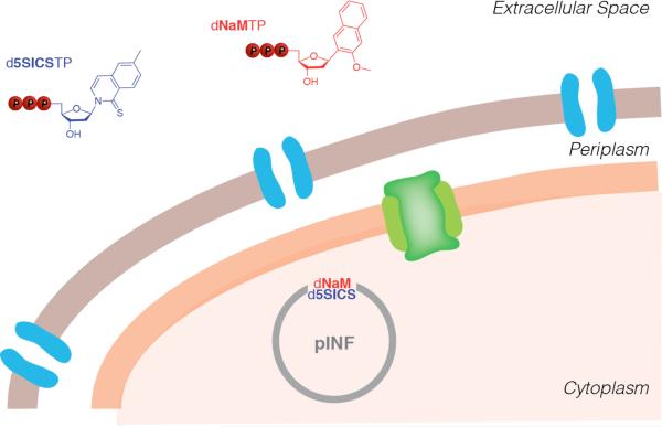 Figure 10