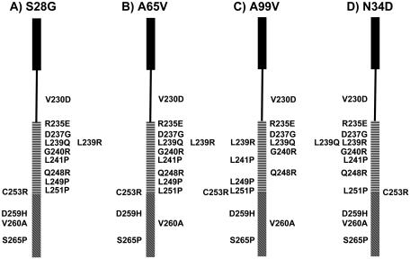 FIG. 5.