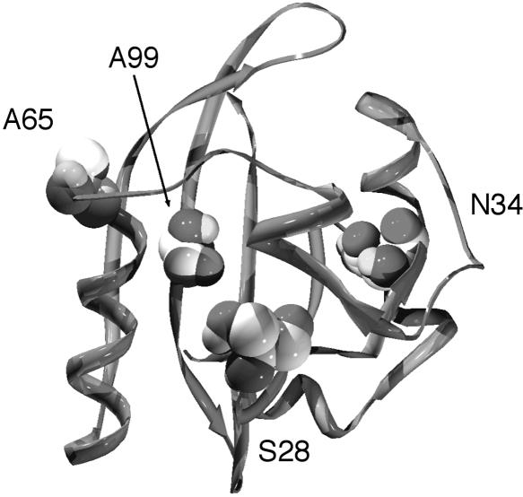 FIG. 8.