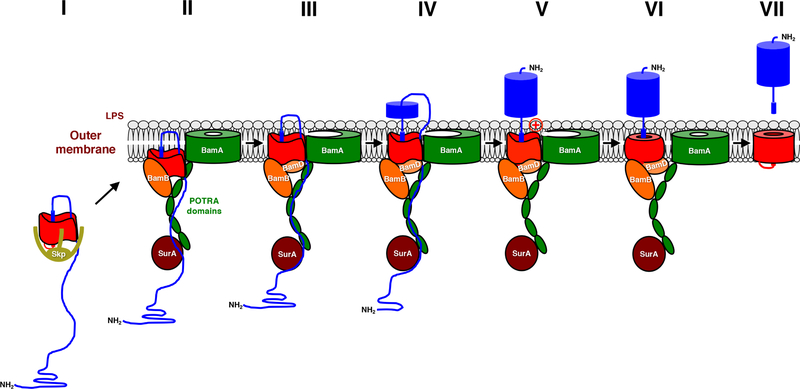 FIG 2