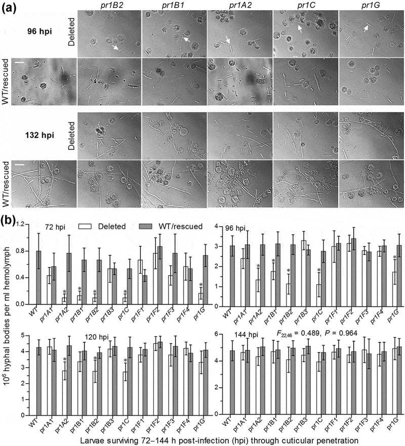 Figure 5.