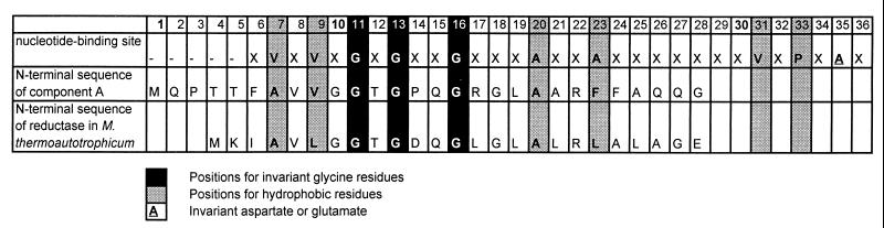 FIG. 5