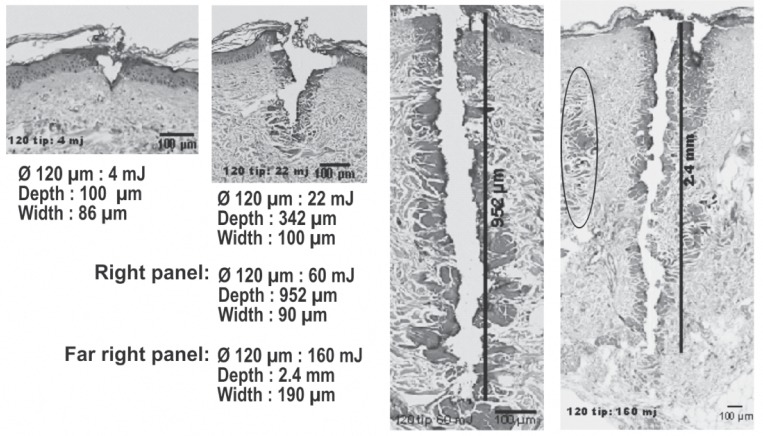 Fig. 8: