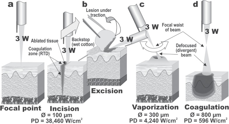 Fig. 2: