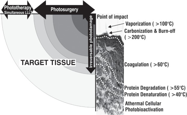 Fig. 3: