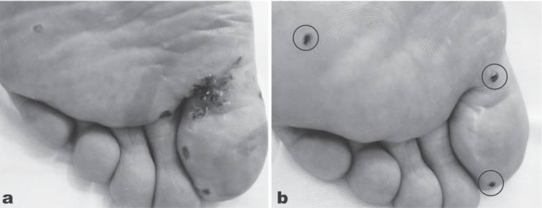 Fig. 6: