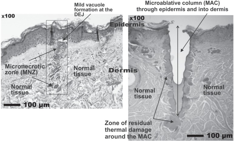 Fig. 7: