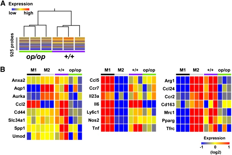 Figure 10.