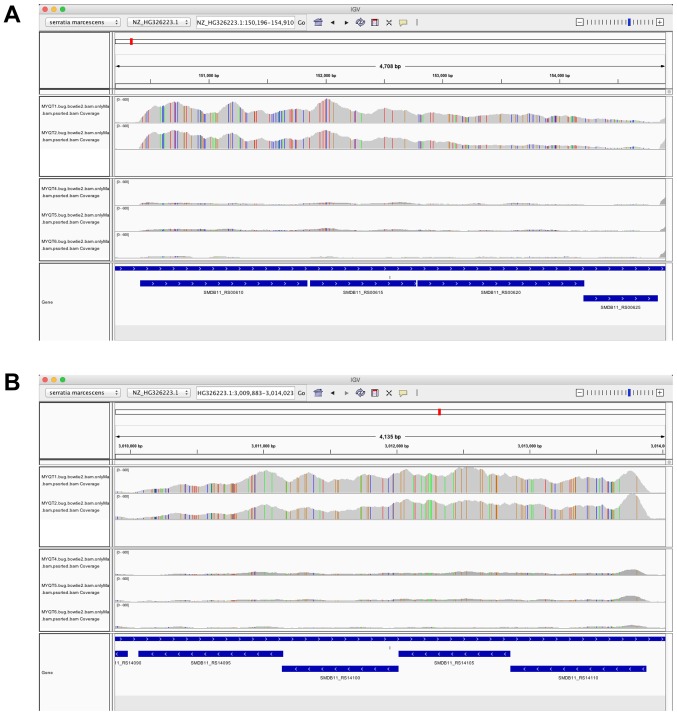 Figure 3.