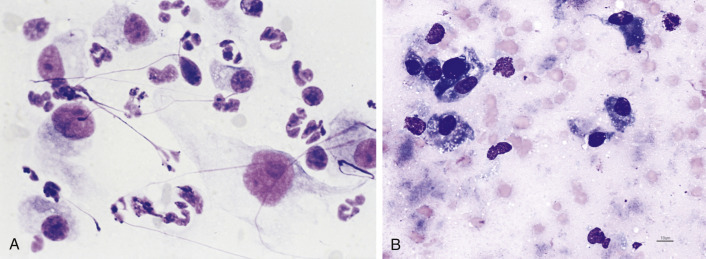 Figure 2-25