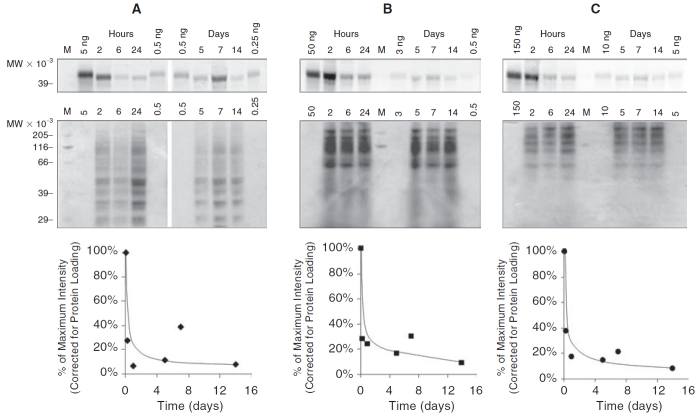 FIG. 6. 