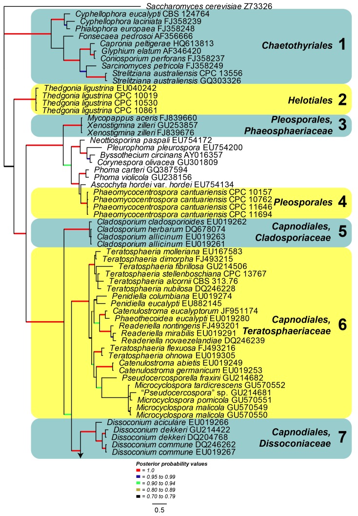 Fig. 4.