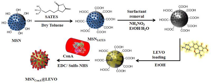 Fig. 2