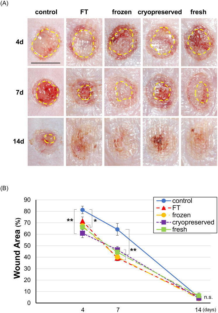 Fig 4