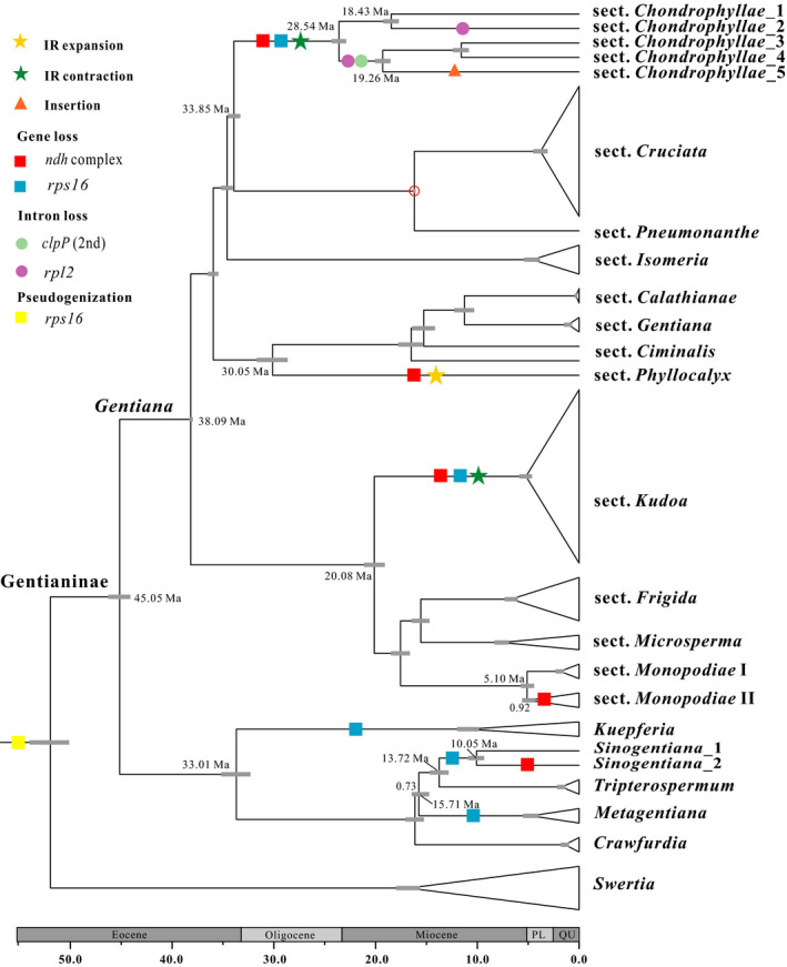 FIGURE 2