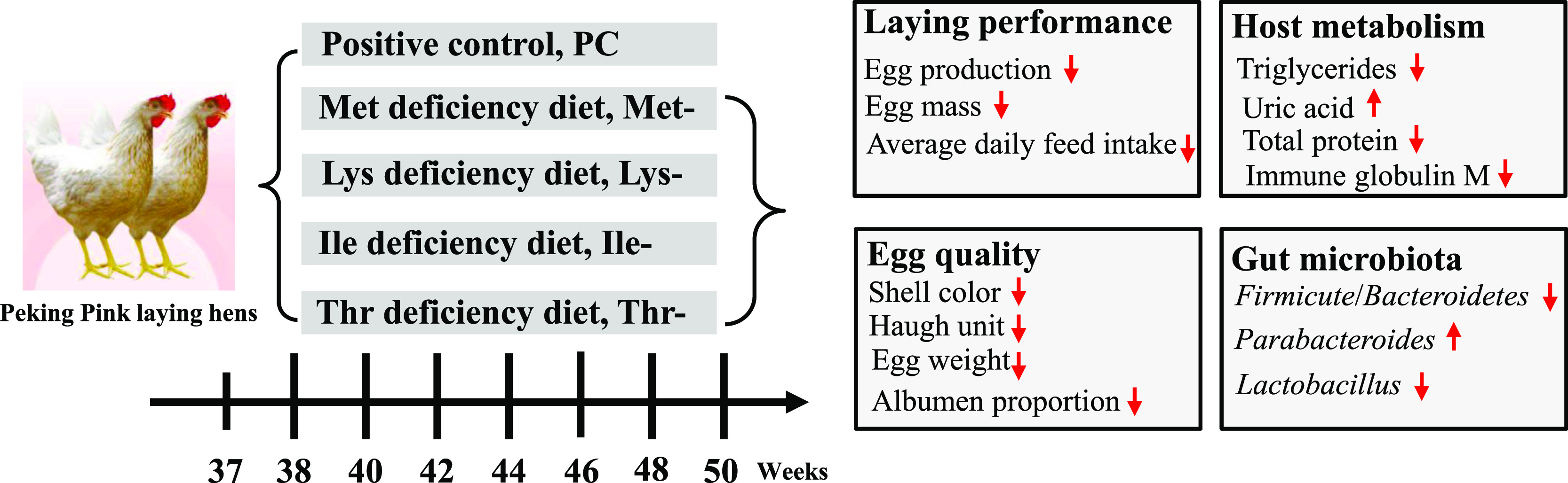 graphic file with name ao1c00739_0007.jpg